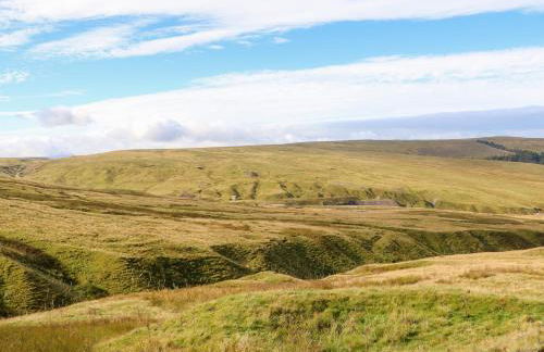 The Museum - Foto 33