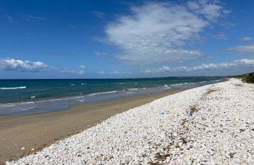 Villa Vinci - Foto 35