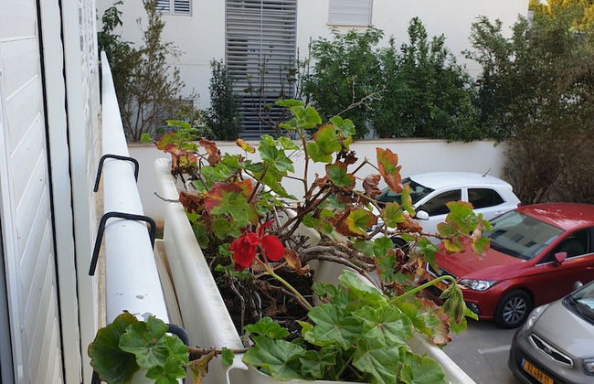 Comfortable apartment - Foto 35