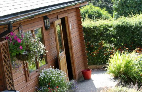 Tehidy Holiday Park - Foto 44