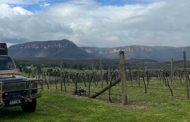 Blue Mountains Tour from Katoomba - Photo 1