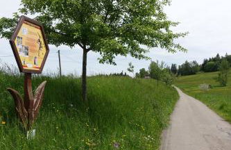 Ferienwohnung Schwarzwaldgrün - Photo 40