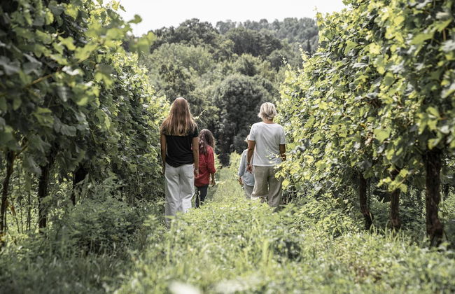 Agriturismo Borgoluce - Photo 29