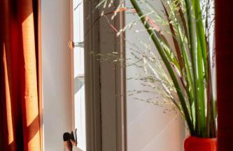 Zur Traube - grün - Foto 10