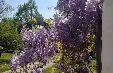 Montello Hill apartment - Foto 19