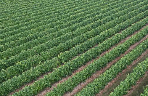 Villa Serena Agriturismo - Foto 85