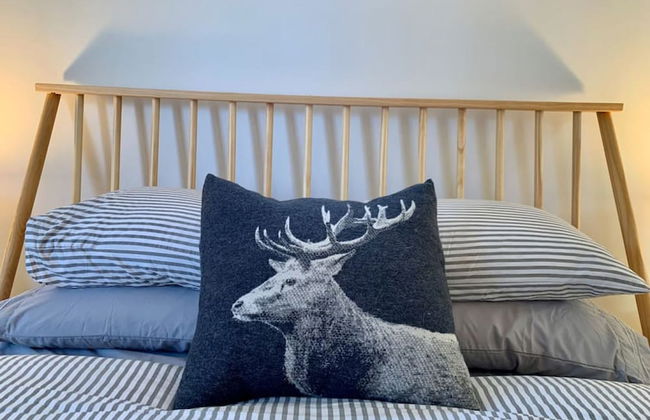 Back House Twin Cabin Ii-hot Tub Fireplace Hiking Retreat - Foto 19