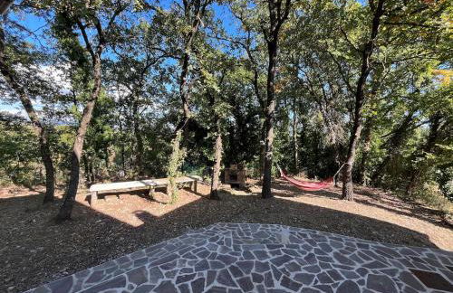 Villa with Garden near Rome for Groups & Families - Foto 45