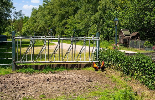 Cottage in Dwingelderveld With Scenic Views - Foto 35