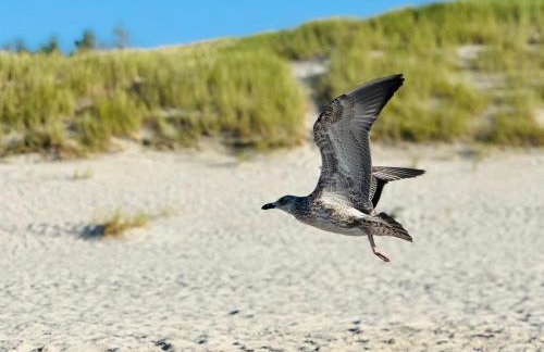 Słowińska Łąka - Foto 50