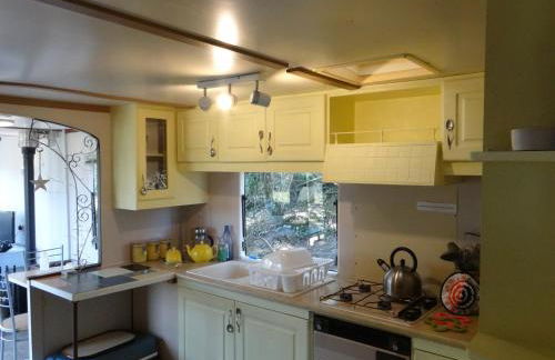 Canad Adar - Song of the Birds - Teifi Valley - Foto 31