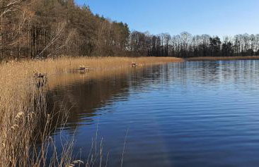 Malanówka II Radęcin - Foto 10