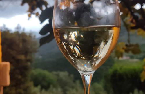 Guesthouse Runcini - Photo 10