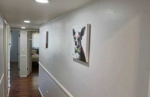 Modern La Cresta - Photo 14