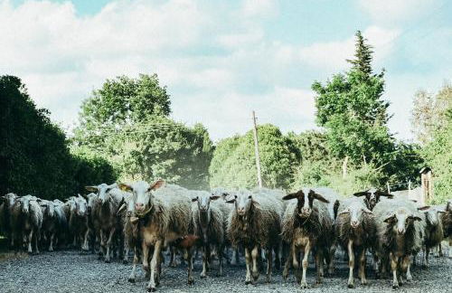 Agriturismo Vallerana - Foto 25