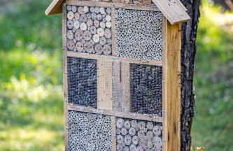 Hameau des laurières - Foto 78