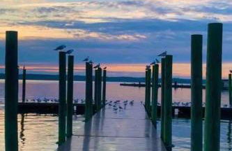 Potomac River Quantico Marines 2BR Bungalow Home - Foto 7