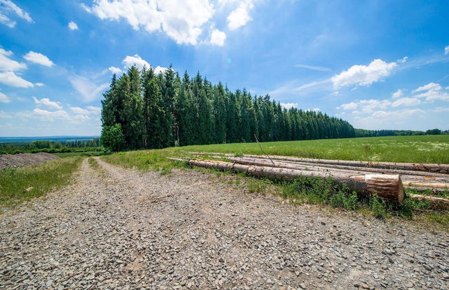 Holiday Home in Ardennes Near Durbuy - Foto 39