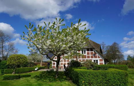 Ferienwohnung Hotel Appartement 2 Schlafzimmer Altes Landhaus Oste mit Terrasse, Grill, Küche, Bad, WLAN, nah am Nordsee Strand - Foto 50