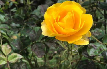 Elia & Meli Studio - Foto 20