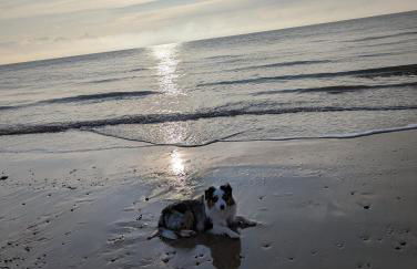 Beach Walk Cottage - Foto 14