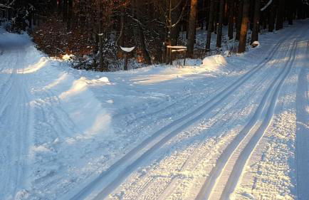 Moderne Komfortwohnung im Kurort am Rennsteig - Foto 37
