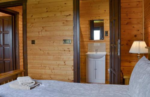 Dartmoor - Uk12537 - Foto 8