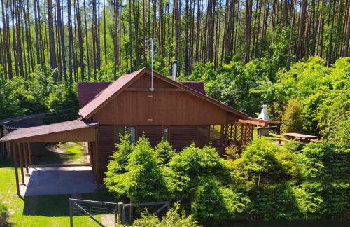 Przylesie Trzebciny - Foto 14