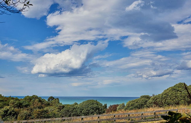 Barnacle Bills - Foto 50