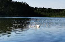 Leśne Domki Wejsuny - Foto 22