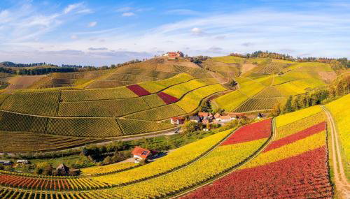 Alm-Atelier - Foto 3