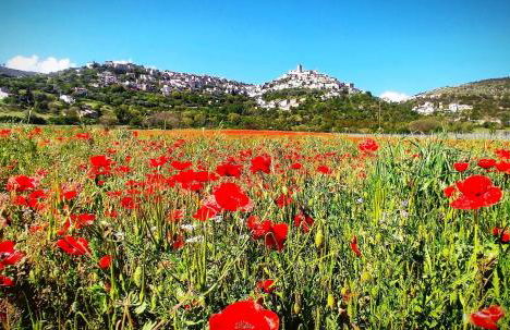 La Casa di Fedora - Foto 12