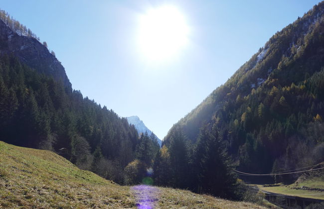 Rustico Stübii - Foto 17