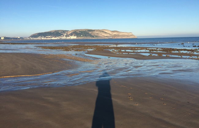 Superb Cintra Apartments - Foto 43