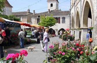 Le Beffroi - Foto 33