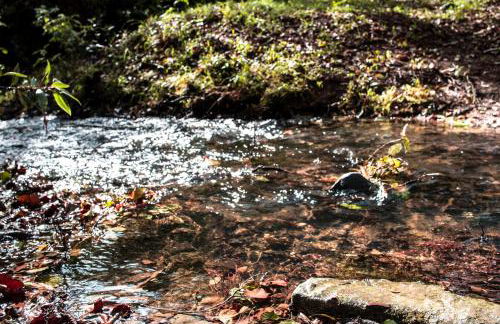 agroturismo Araize - Foto 8