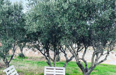 Villa Maxima Lavrio - Foto 13