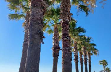 La Conchiglia - Foto 31