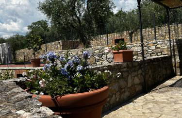 BORGO A MONTI di Sotto - Foto 63