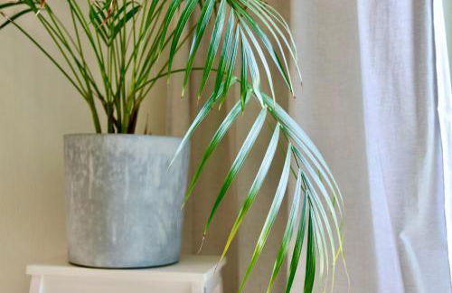 EifelBleibe, Ferienwohnungen - Foto 46