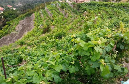 Casa Rural Quilla - Foto 13