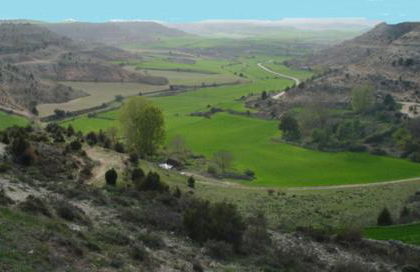 La Plazuela - Foto 23