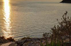 House on Punta - Photo 31