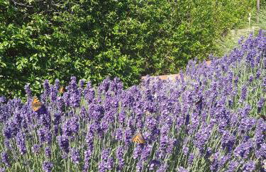 Sielanka Gardna Wielka - Foto 35