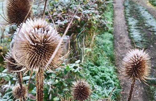 Melford Allotment Shed-Vintage Lodge Suffolk - Foto 22