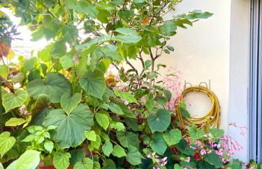 Appartement avec terrasse - Foto 27