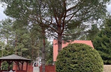 Wakacyjny Dom na wyłączność "APARTAMENT LE SOLEIL" - Foto 10