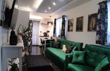 Apartament Górski Potok Murzasichle Apartamenty Murzasichle PL - Foto 2