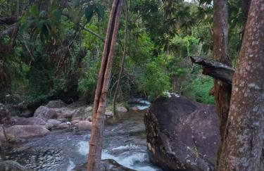 Cantinho do Ipê Alto Caparaó MG - Foto 18