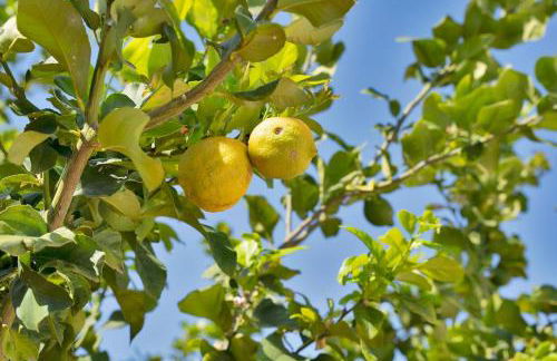 Mediterranean villa near the sea in Marbella - VILLA PALMERAS 23A - Foto 18